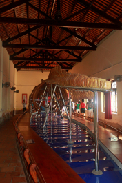 photo 1377221