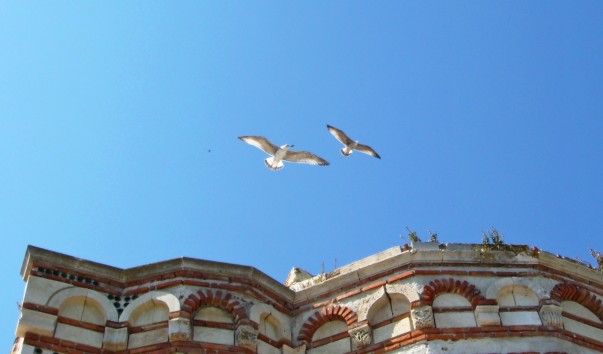 DSC07840