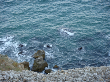 photo 1754289