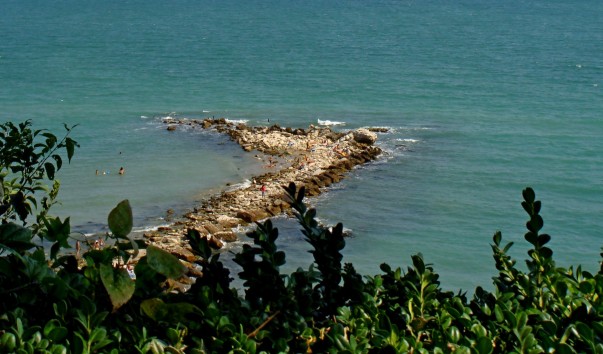DSC07375