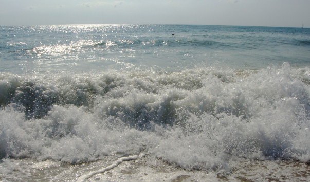 DSC08055