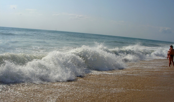 DSC08056