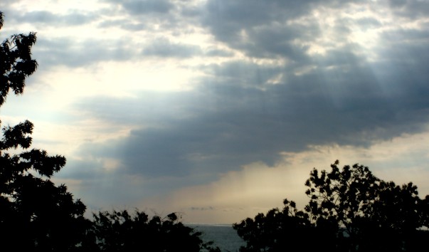 DSC08274
