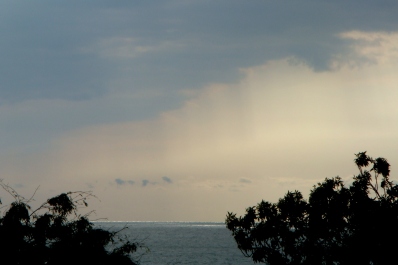 photo 1773384