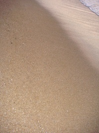 photo 1773585