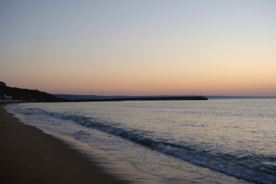 photo 1773586