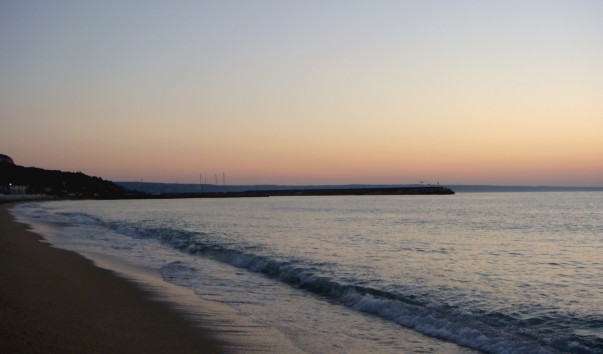 DSC08331