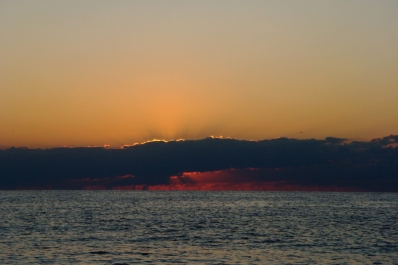 photo 1773871