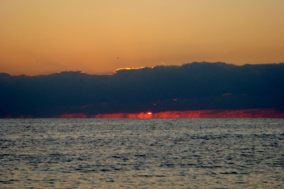 photo 1773872