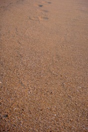 photo 1774029
