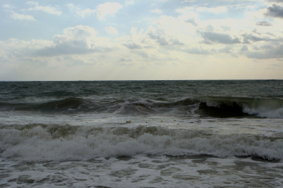 photo 1774986