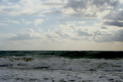 photo 1775244