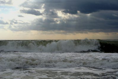 photo 1775335