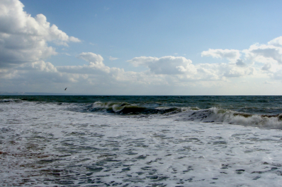 photo 1776017