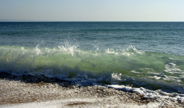 DSC00905