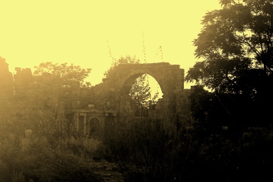 photo 1829104