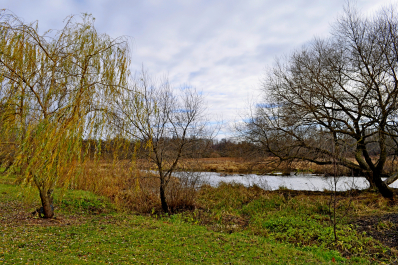 photo 2032055