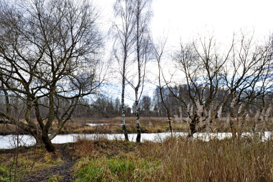 photo 2032123
