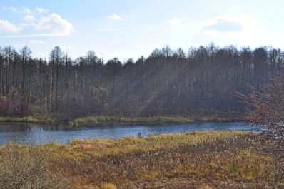 photo 2032667