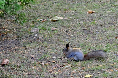 photo 2033074