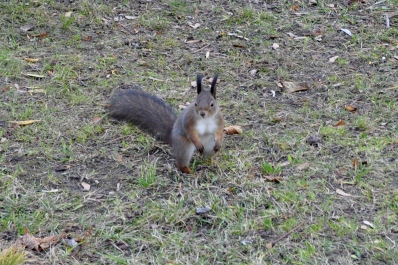 photo 2033153