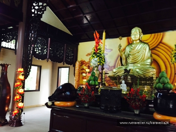 photo 927853