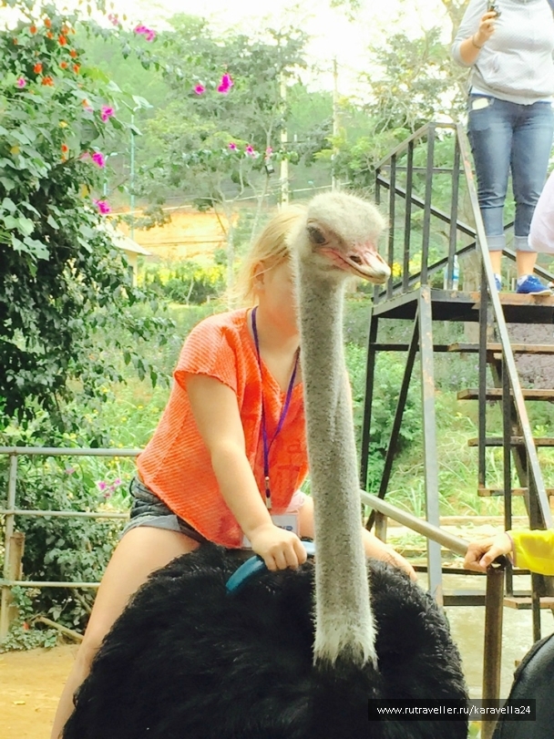 photo 927854