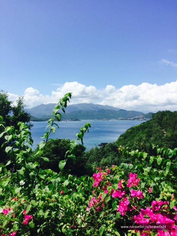 photo 927863