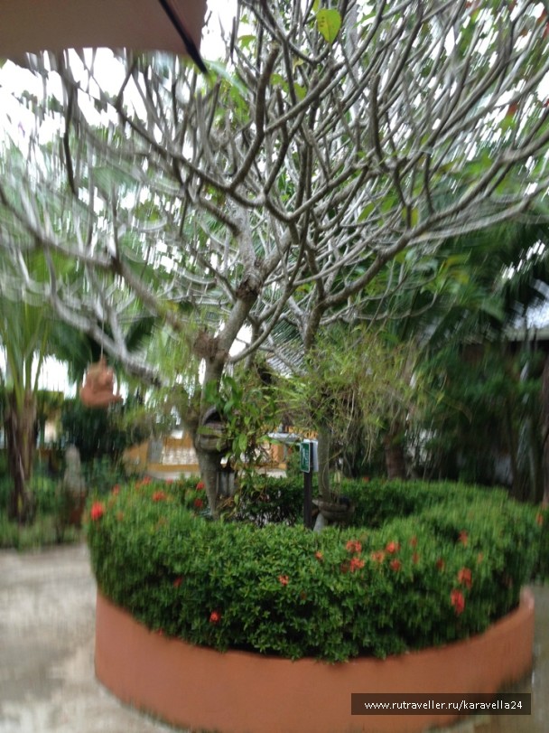 photo 927900