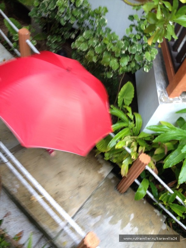 photo 927901