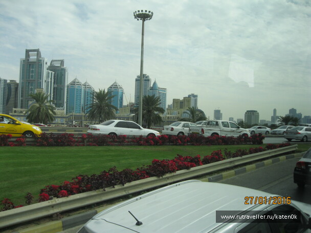 photo 1310733