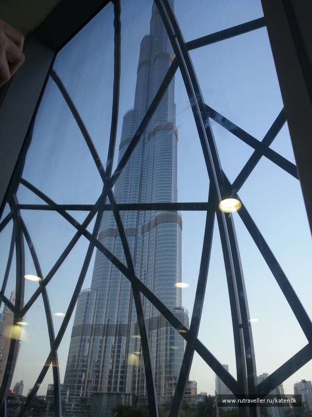 photo 1310753