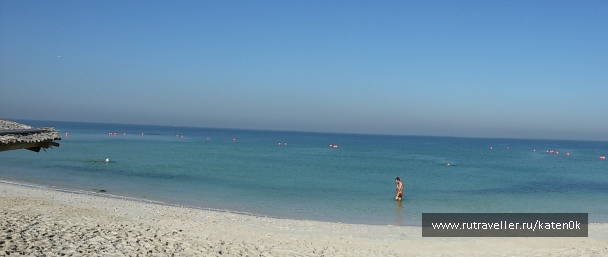 photo 1310754
