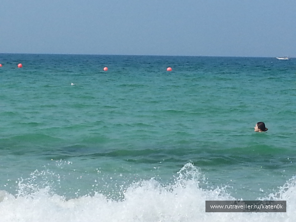 photo 1310757