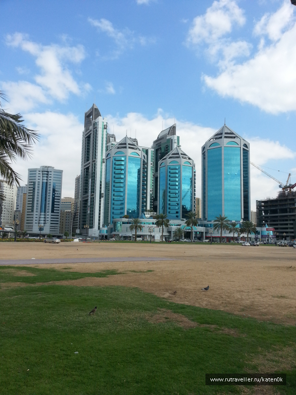 photo 1310769