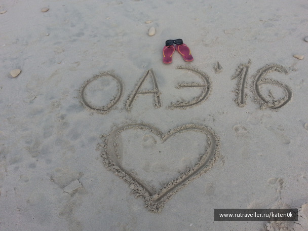 photo 1310771