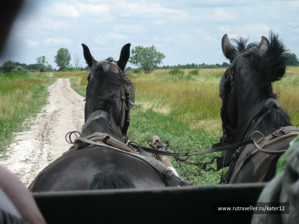 photo 23721
