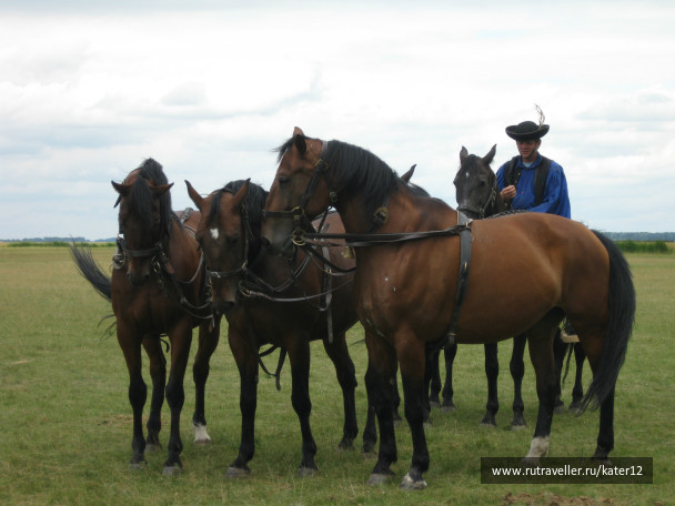 photo 23722