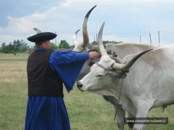 photo 23725