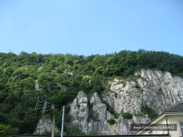 photo 23738
