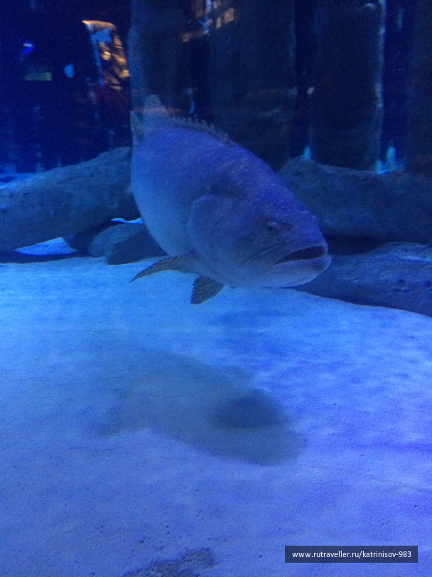 photo 1535504