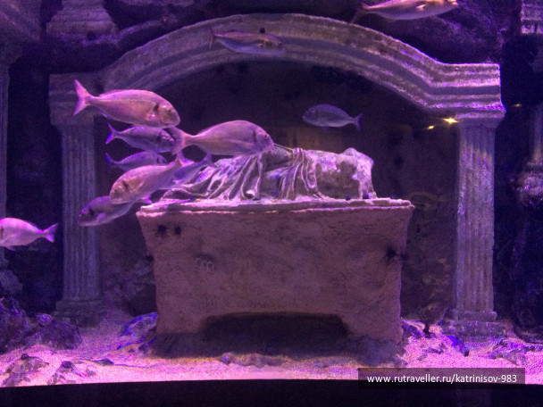 photo 1535505