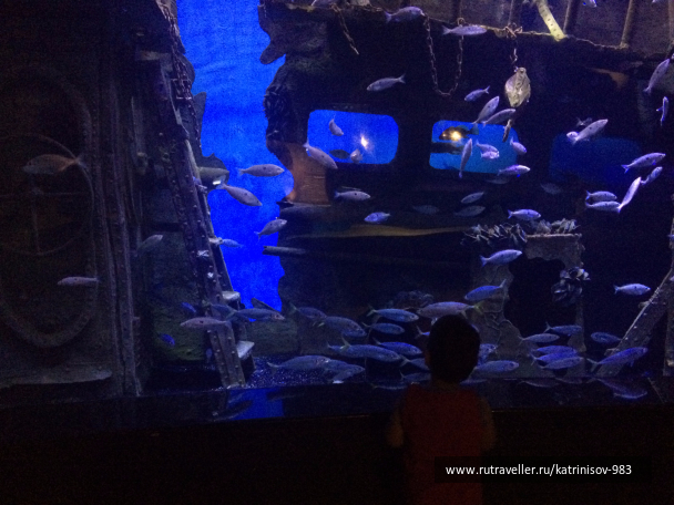 photo 1535506