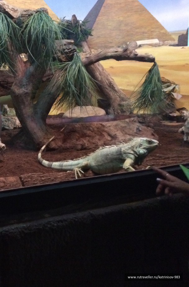 photo 1535794
