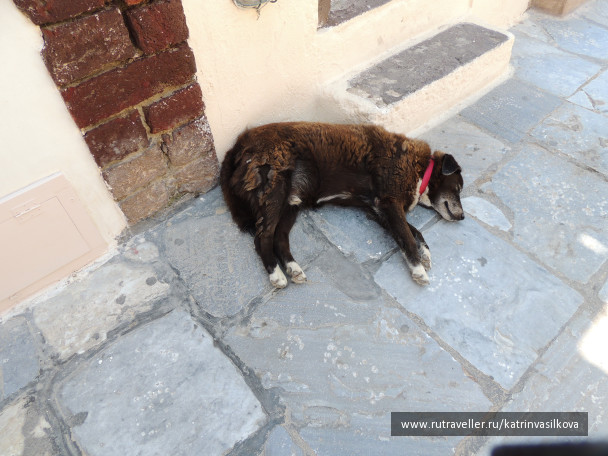 photo 1232471