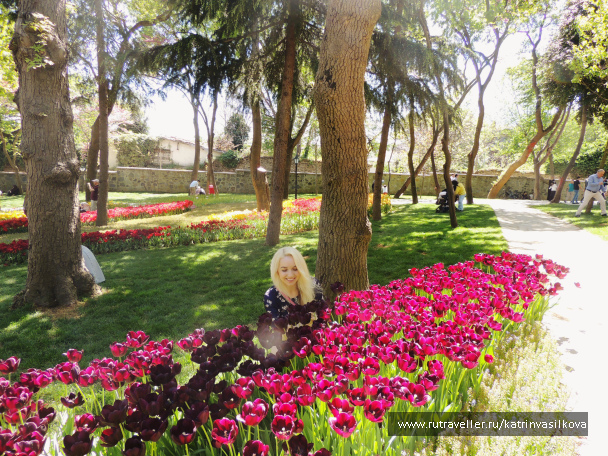 photo 1292069