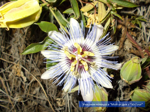 photo 796136