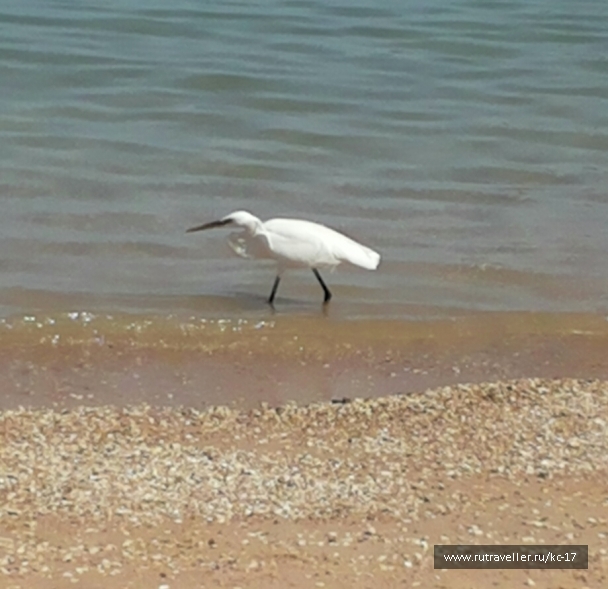 photo 675221