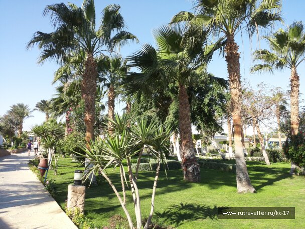 photo 675235