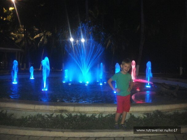 photo 1240341